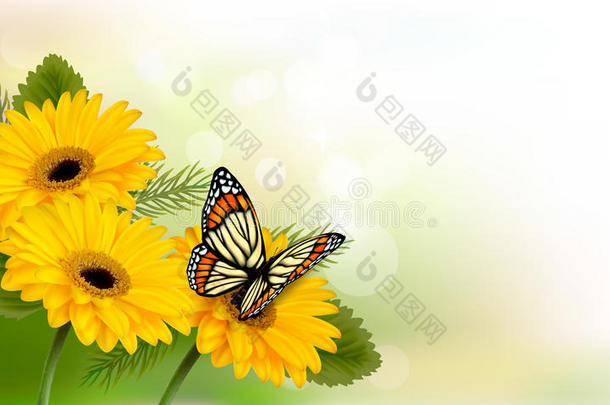 夏天的背景是黄色美丽的花朵和蝴蝶。
