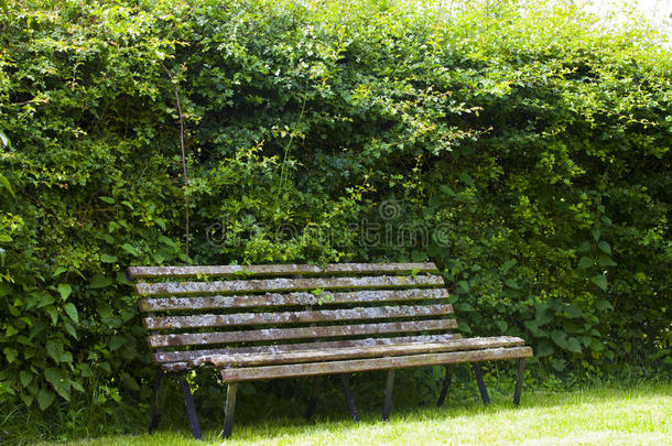 科茨沃尔德幽静花园中的花园长椅