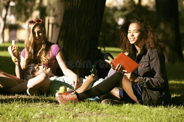 一群学生在草地上准备考试