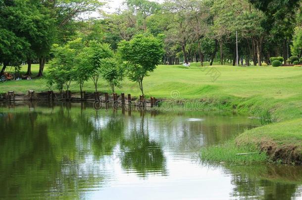 曼谷城市公园彩色倒影树