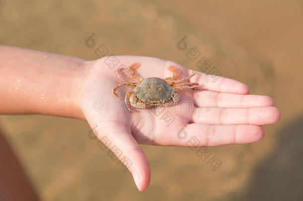 孩子手上的<strong>小螃蟹</strong>