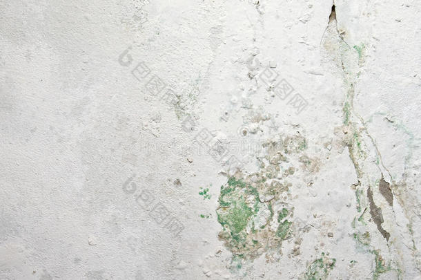 旧混凝土墙上的油漆和苔藓脱落