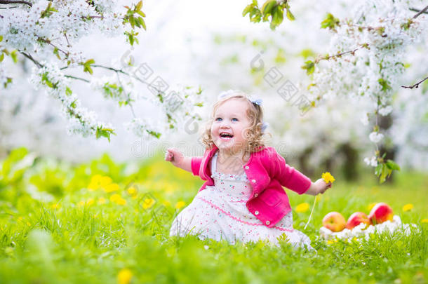 笑着蹒跚学步的女孩在<strong>花圃</strong>里吃苹果