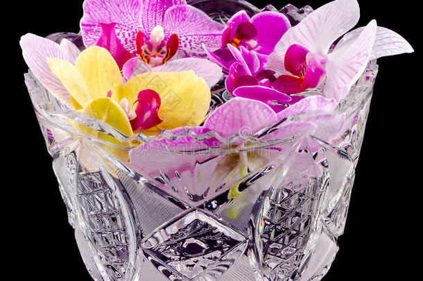 彩色兰花，淡紫色，黄色，粉色，紫色，透明花瓶