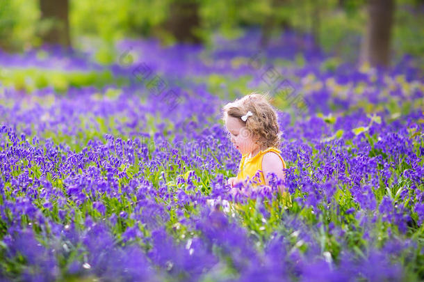 春天森林里蓝铃花卷曲的小女孩