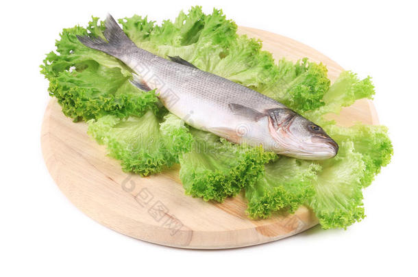 生菜鲜鲈鱼。