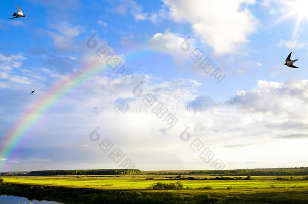 艺术<strong>夏日</strong>场景，<strong>雨后</strong>自然全景