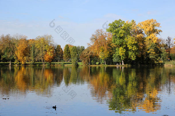 秋天的风景，五彩缤纷的树木和湖泊