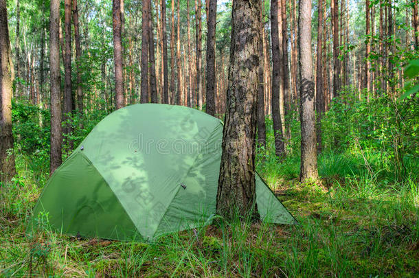 隐藏在<strong>林间</strong>帐篷里-秘密露营的例子