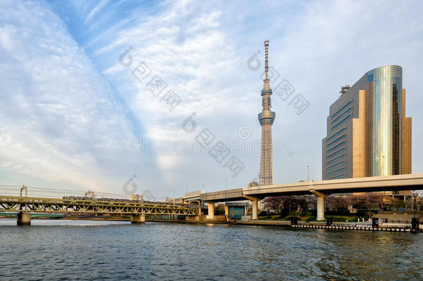 东京天空树