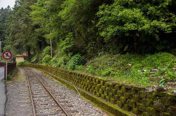 <strong>阿里山</strong>森林铁路窄轨列车