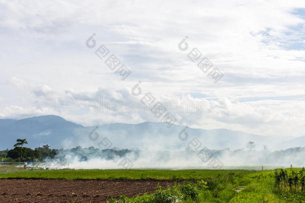 泰国稻农燃烧稻草的残茬燃烧。
