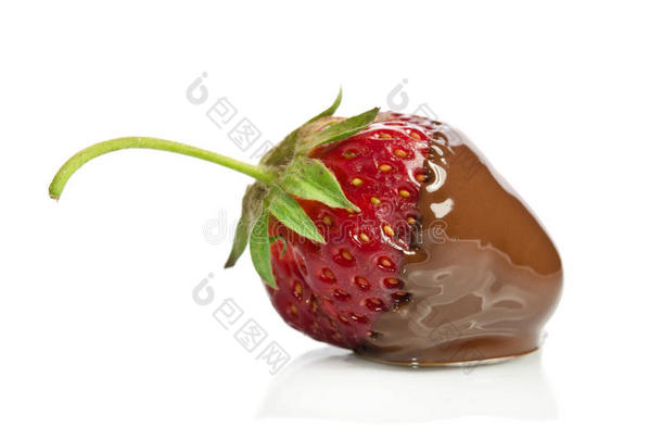 巧克力红甜草莓