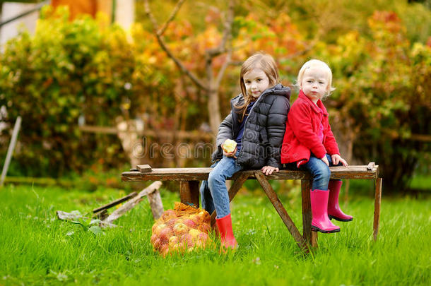 两姐妹在秋日坐在长凳上