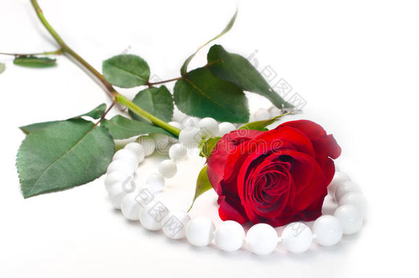 白玫瑰珍珠珠