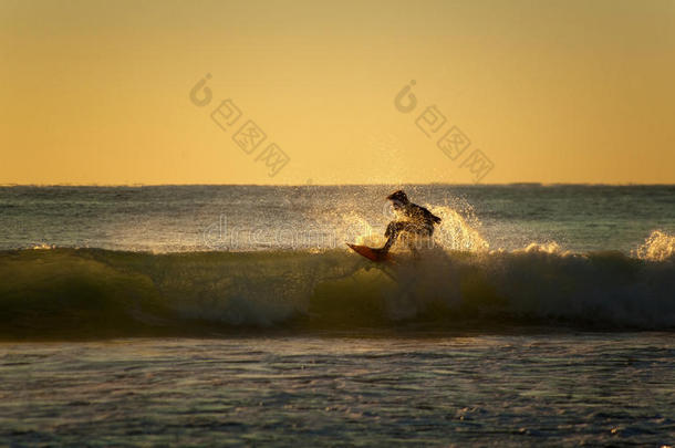 冲浪者在澳大利亚乘风破浪