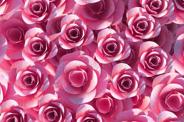 背景玫瑰显示模板浪漫和开花