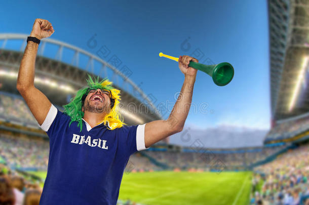 巴西球迷在体育场庆祝