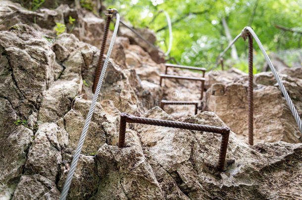 登山道