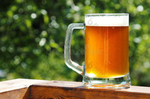 夏日阳光明媚的冷啤酒杯