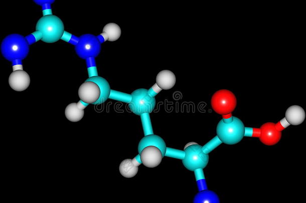 <strong>黑背景下</strong>精氨酸的分子结构
