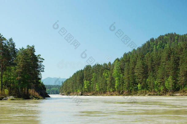 美丽的夏季景观，有河流和树木繁茂的海岸