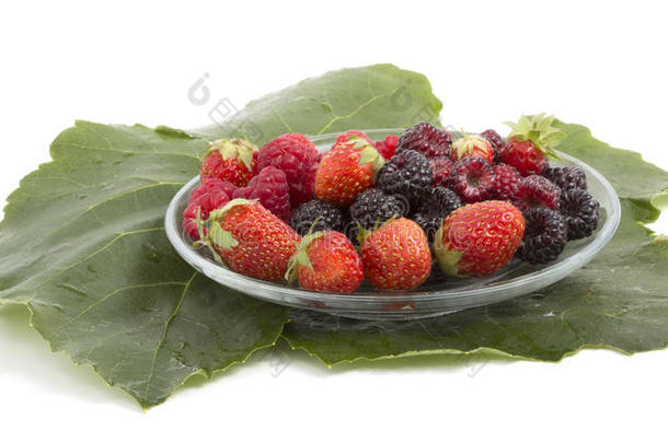 新鲜的覆盆子，黑莓和草莓