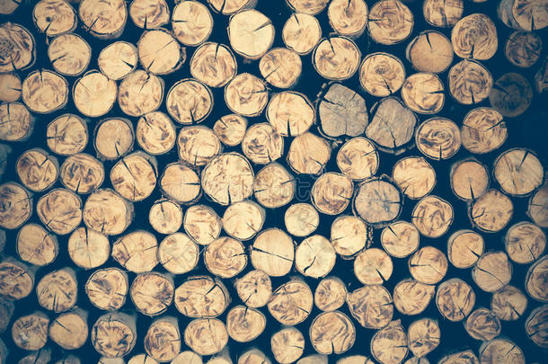 一堆伐木树桩原木纹理