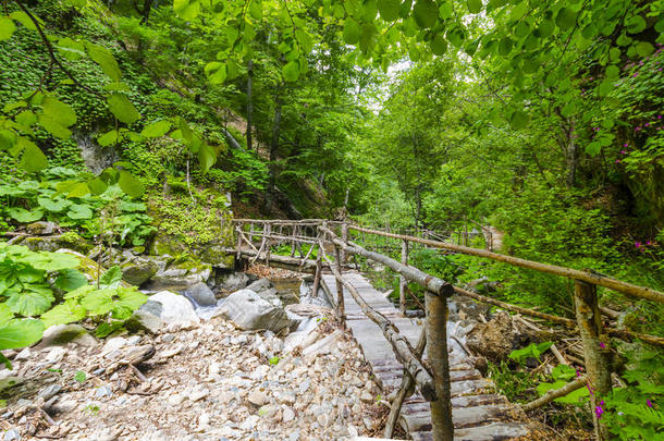 森林中小溪上的木桥