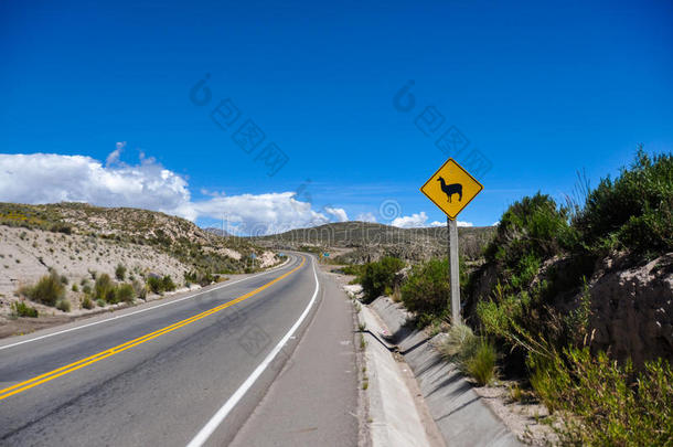 交通标志：小心喇嘛！！，玻利维亚