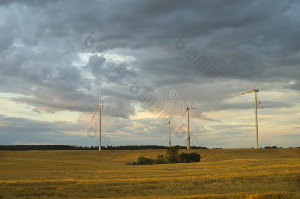 风力涡轮机，纯能源，田野里的风车