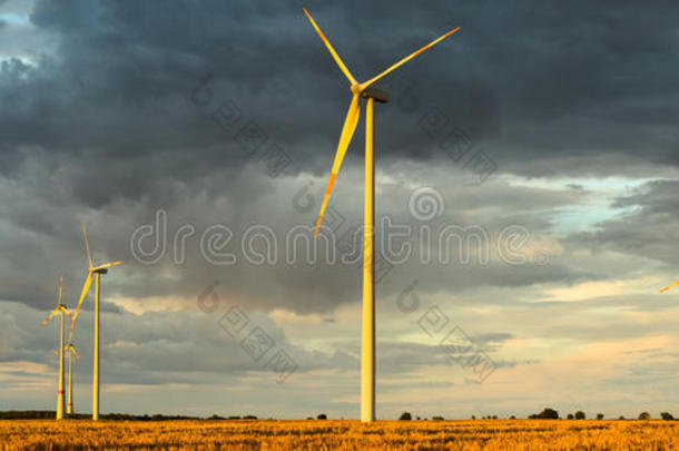 风力涡轮机，纯能源，田野里的风车
