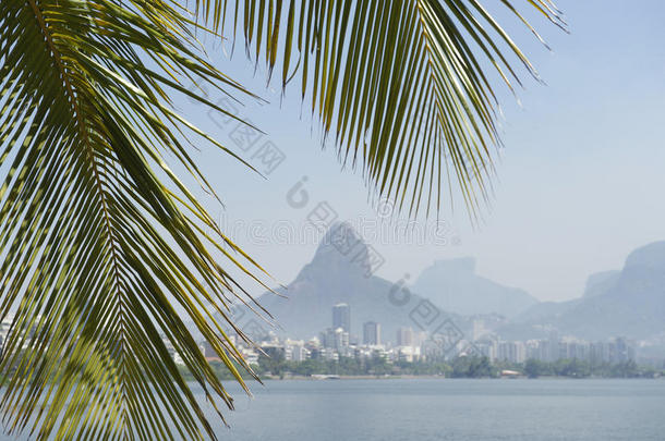 巴西里约热内卢风景区天际线棕榈树