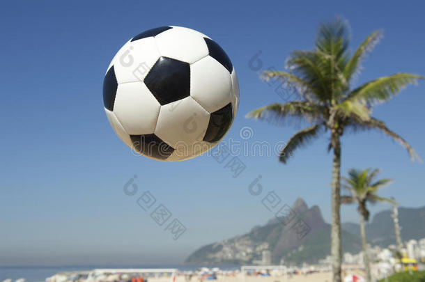 巴西足球里约热内卢棕榈树天际线