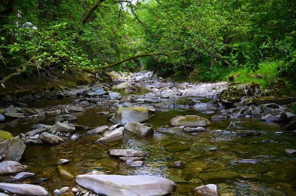 <strong>山林深处</strong>的河流。