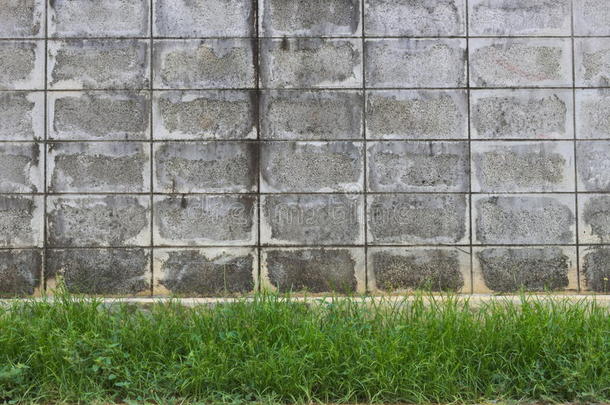 抽象背景墙旧水泥草