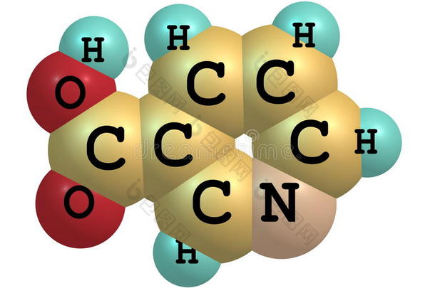 白色背景下烟酸（b3）的分子结构