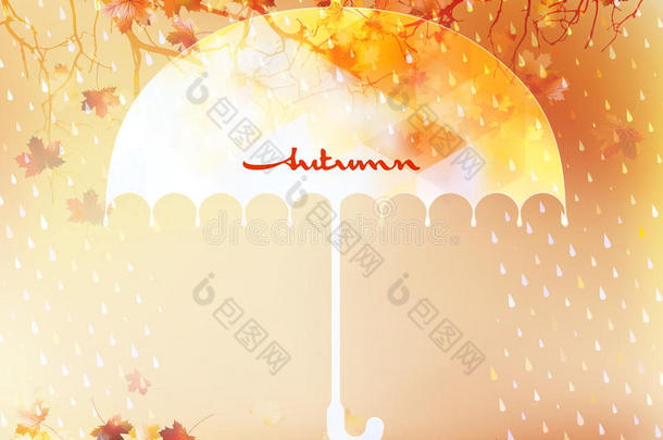 秋天的背景是伞和树叶。每股收益10