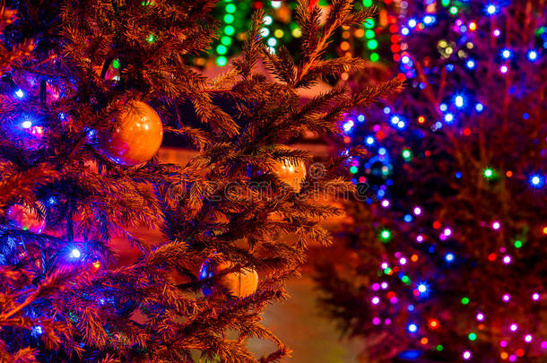 黑暗的街道上<strong>灯火通明</strong>的圣诞树
