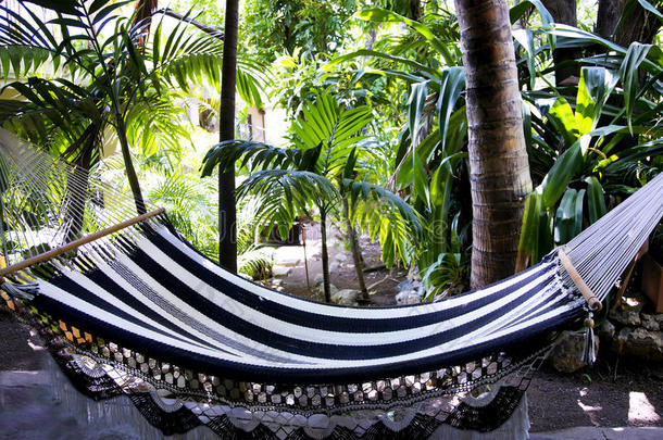 在哥斯达黎加热带丛林的<strong>吊床</strong>上休息