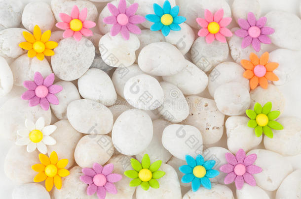 白色鹅卵石上的花朵