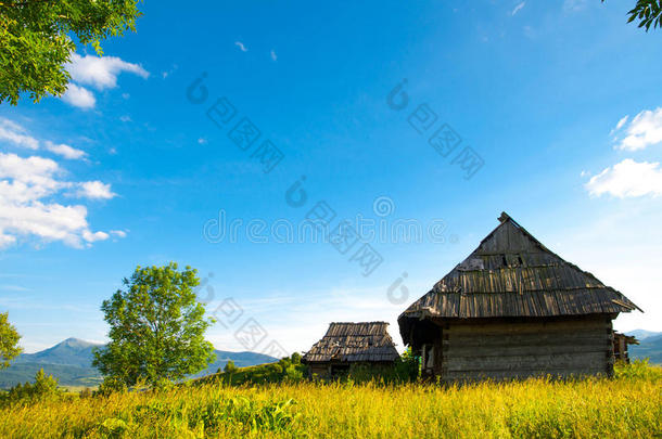 田园诗般的喀尔巴阡小屋夏季山地草甸全景