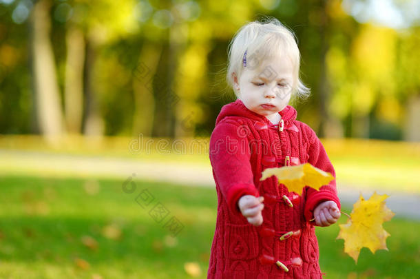可爱的小女孩抱着黄色的枫叶