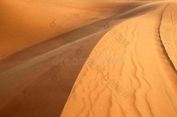 红砂沙漠