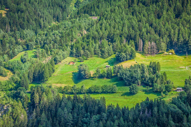瑞士格莱奇周围的夏季山地景观