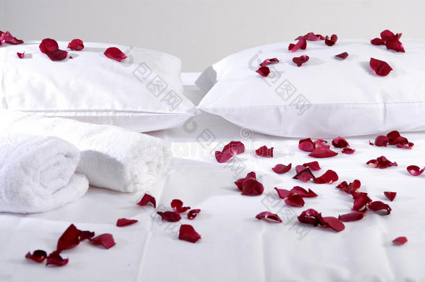 白色靠垫上浪漫美丽的红色花瓣