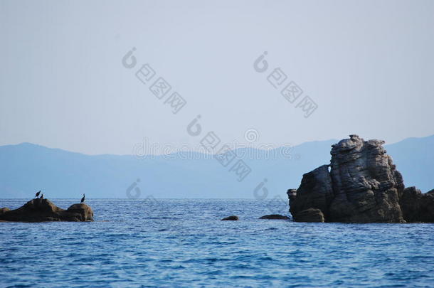 我梦想的海岸