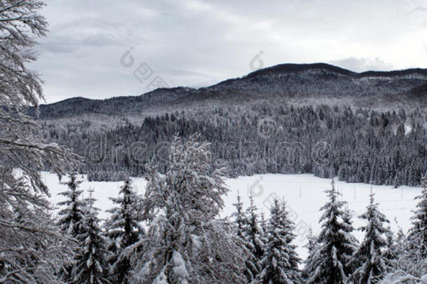 雪域高原的冬季景色