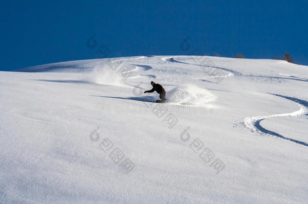 滑雪板运动员在粉雪上滑雪。