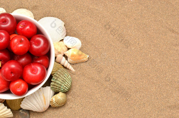 沙上的红李子和贝壳